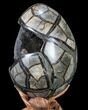 Septarian Dragon Egg Geode - Black Crystals #88189-3